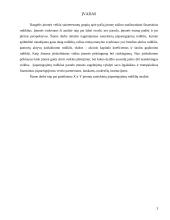 Įsiskolinimo rodiklių analizė 2 puslapis