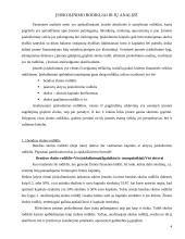 Įsiskolinimo rodiklių analizė 3 puslapis