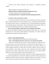 Įsiskolinimo rodiklių analizė 4 puslapis