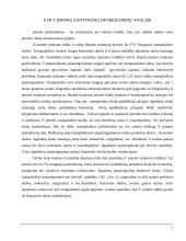 Įsiskolinimo rodiklių analizė 6 puslapis