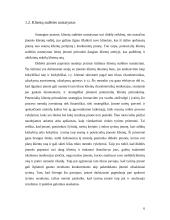 Klientų analizė: UAB "VP market" 6 puslapis