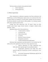 Klientų analizė: UAB "VP market" 7 puslapis