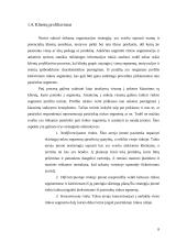 Klientų analizė: UAB "VP market" 8 puslapis