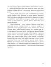 Klientų analizė: UAB "VP market" 10 puslapis