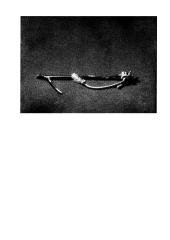 Kūrinio analizė: Algimantas Švėgžda "Tibeto piemenims" 2 puslapis