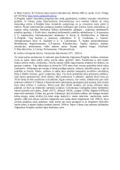 Kūrinio analizė: Algimantas Švėgžda "Tibeto piemenims" 5 puslapis