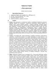 Kūrinio analizė: Algimantas Švėgžda "Tibeto piemenims" 6 puslapis