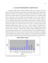 Lietuvos Respublikos biudžeto tyrimas 11 puslapis