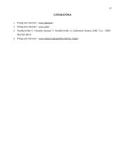 Lietuvos Respublikos biudžeto tyrimas 15 puslapis