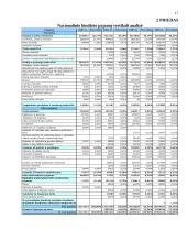Lietuvos Respublikos biudžeto tyrimas 17 puslapis