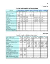 Lietuvos Respublikos biudžeto tyrimas 18 puslapis