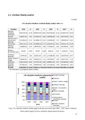 LR valstybės biudžeto analizė 15 puslapis