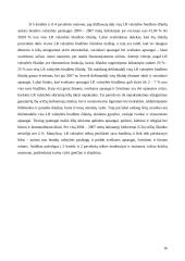 LR valstybės biudžeto analizė 16 puslapis