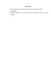 Lietuvos respublikos biudžeto analizė 12 puslapis