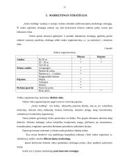 Marketingo planas: kompiuterių gamyba ir prekyba "Sonex holding" 11 puslapis