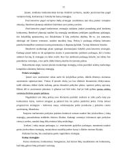 Marketingo planas: kompiuterių gamyba ir prekyba "Sonex holding" 12 puslapis