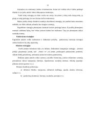 Marketingo planas: kompiuterių gamyba ir prekyba "Sonex holding" 13 puslapis