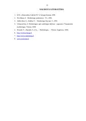 Marketingo planas: kompiuterių gamyba ir prekyba "Sonex holding" 15 puslapis