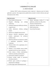 Marketingo planas: kompiuterių gamyba ir prekyba "Sonex holding" 5 puslapis