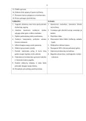 Marketingo planas: kompiuterių gamyba ir prekyba "Sonex holding" 6 puslapis