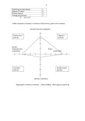 Marketingo planas: kompiuterių gamyba ir prekyba "Sonex holding" 9 puslapis