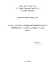 Naujo produkto kūrimo parengiamieji darbai