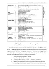 Naujo produkto kūrimo parengiamieji darbai 11 puslapis