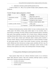 Naujo produkto kūrimo parengiamieji darbai 12 puslapis