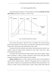 Naujo produkto kūrimo parengiamieji darbai 13 puslapis