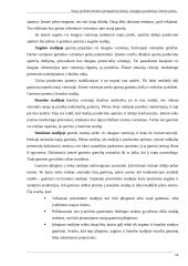 Naujo produkto kūrimo parengiamieji darbai 14 puslapis