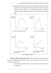Naujo produkto kūrimo parengiamieji darbai 17 puslapis