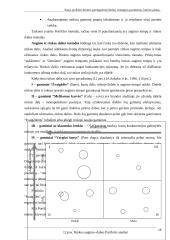 Naujo produkto kūrimo parengiamieji darbai 18 puslapis