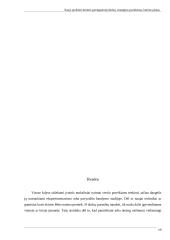 Naujo produkto kūrimo parengiamieji darbai 19 puslapis