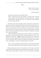 Naujo produkto kūrimo parengiamieji darbai 3 puslapis