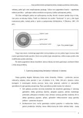 Naujo produkto kūrimo parengiamieji darbai 4 puslapis