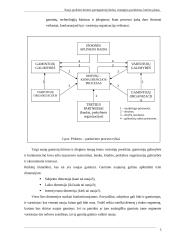 Naujo produkto kūrimo parengiamieji darbai 5 puslapis