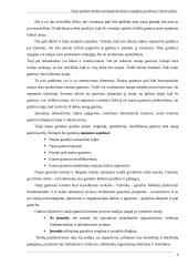 Naujo produkto kūrimo parengiamieji darbai 6 puslapis