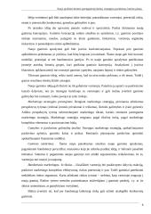 Naujo produkto kūrimo parengiamieji darbai 8 puslapis