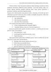 Naujo produkto kūrimo parengiamieji darbai 9 puslapis