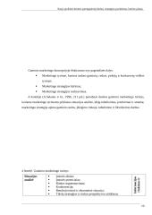 Naujo produkto kūrimo parengiamieji darbai 10 puslapis