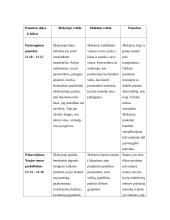 Pamokos psichologinė analizė: informatika 3 puslapis