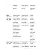 Pamokos psichologinė analizė: informatika 6 puslapis
