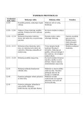 Pamokos ugdomoji analizė 3 puslapis