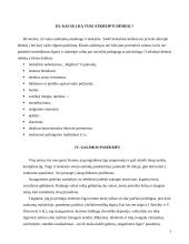 Problemos analizė: artimųjų netektis 5 puslapis