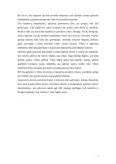 S. Dali "Geopolitinis vaikas stebi Naujojo žmogaus gimimą" 7 puslapis