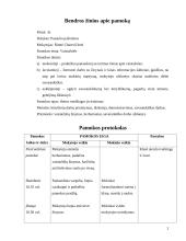Ugdomoji pamokos analizė - pasaulio pažinimas 2 puslapis