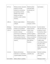 Ugdomoji pamokos analizė - pasaulio pažinimas 3 puslapis