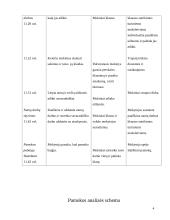 Ugdomoji pamokos analizė - pasaulio pažinimas 4 puslapis