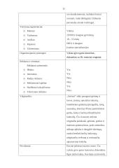 Vilniaus maitinimo įmonių (restoranų ir kavinių) analizė 11 puslapis