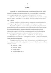 Vilniaus maitinimo įmonių (restoranų ir kavinių) analizė 3 puslapis